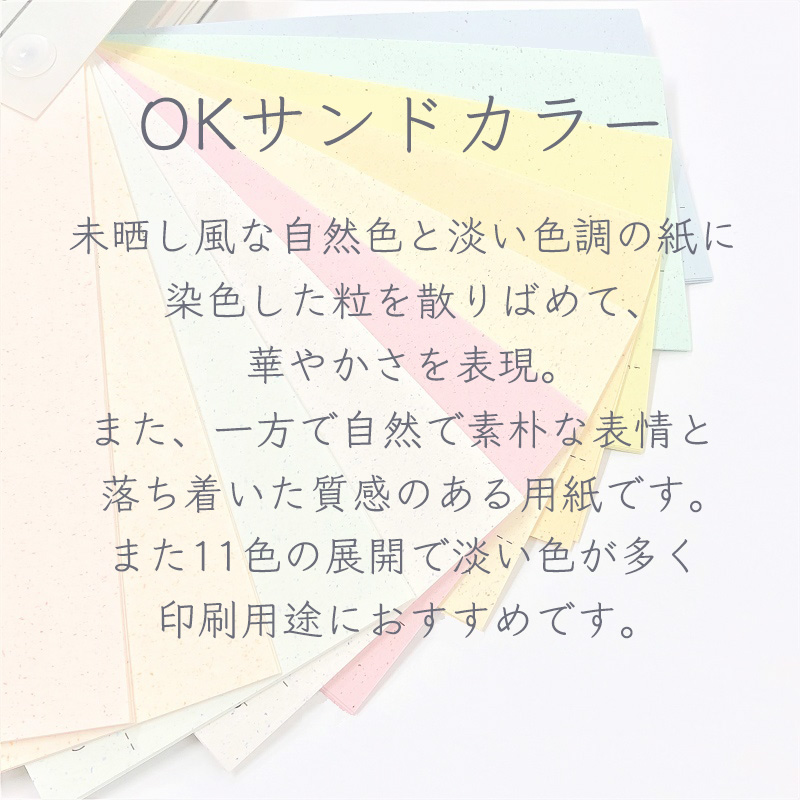 OKサンドカラー 170kg(0.29mm) なす A6 10000枚 商品画像サムネイル1