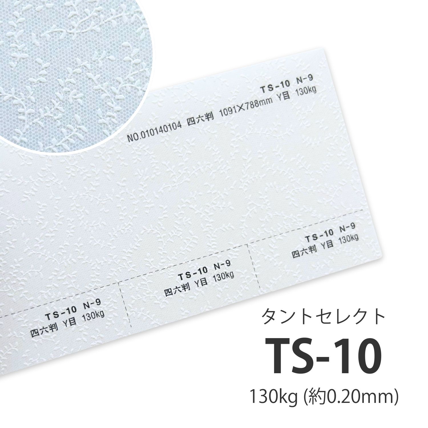 TS-10(タントセレクト10) 130kgを小ロットから販売 | 紙の専門店KAMIOLSHOP