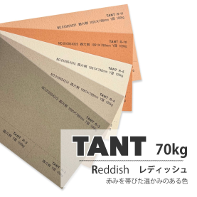 タント70kg(0.12mm) R色の商品画像