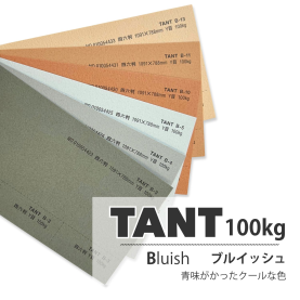 タント100kg(0.18mm) B色の商品画像