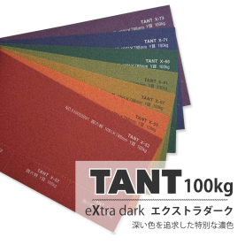 タント100kg(0.18mm) X色の商品画像