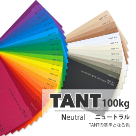 タント100kg(0.18mm) N色の商品画像
