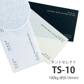 TS-10(タントセレクト10) 100kg(0.16mm)の商品画像