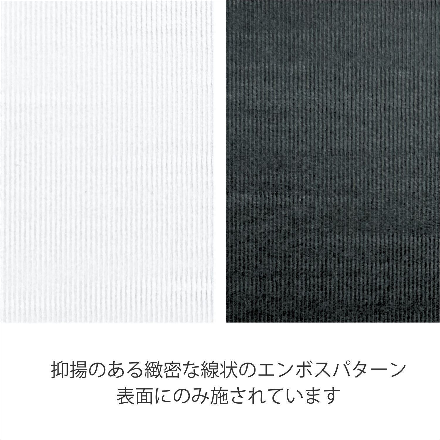 TS-5(タントセレクト5) 100kg(0.15mm) 商品画像サムネイル2