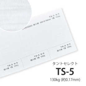 TS-5(タントセレクト5) 130kg(0.17mm)の商品画像
