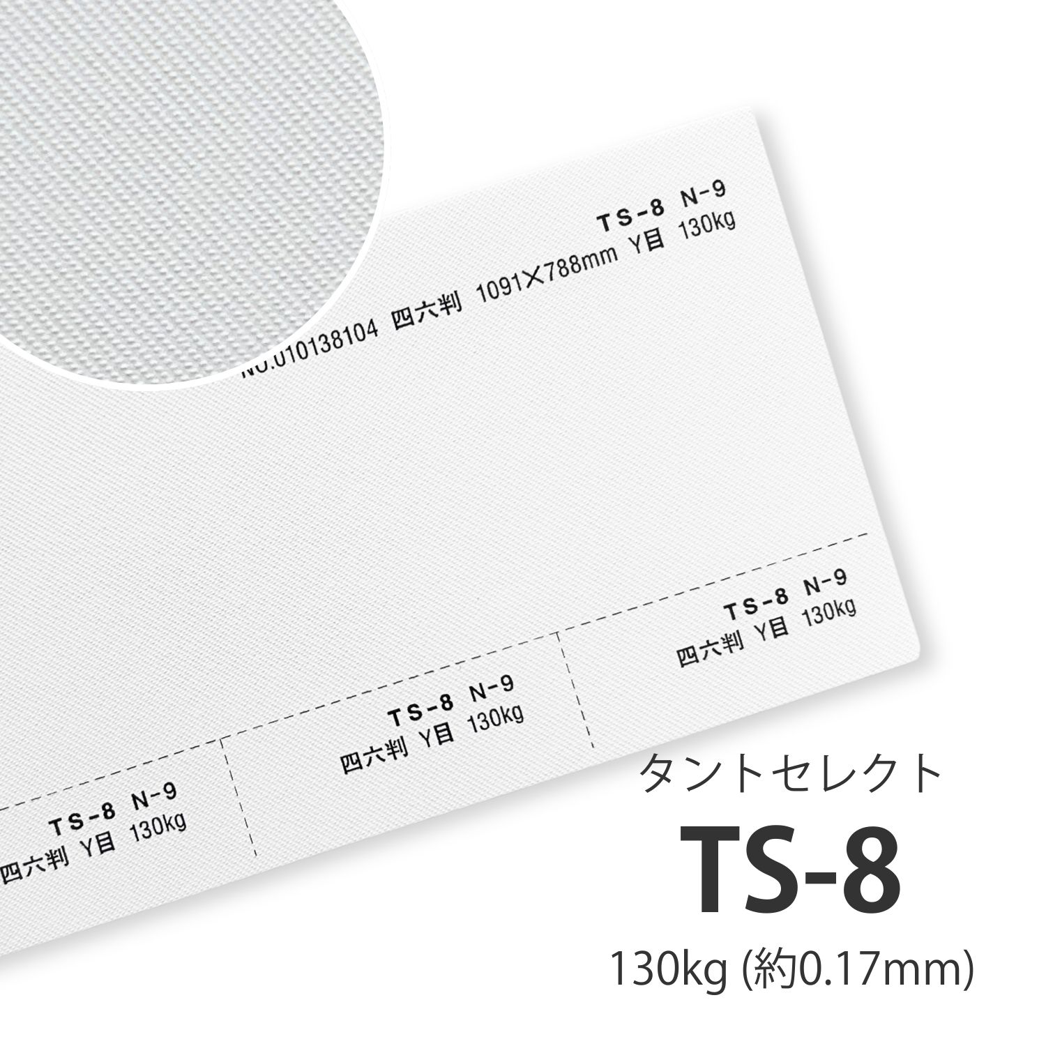 TS-8(タントセレクト8) 130kgを小ロットから販売 | 紙の専門店KAMIOLSHOP