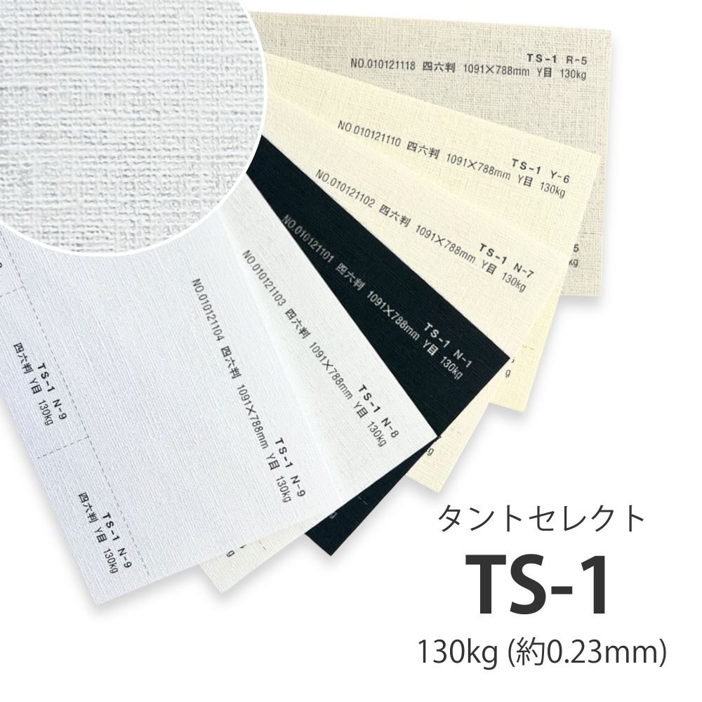 T S様！専用ページ！メモリー無し！ TS-1(タントセレクト1) 130kg(0.23mm)を小ロットから販売 | 紙の専門店