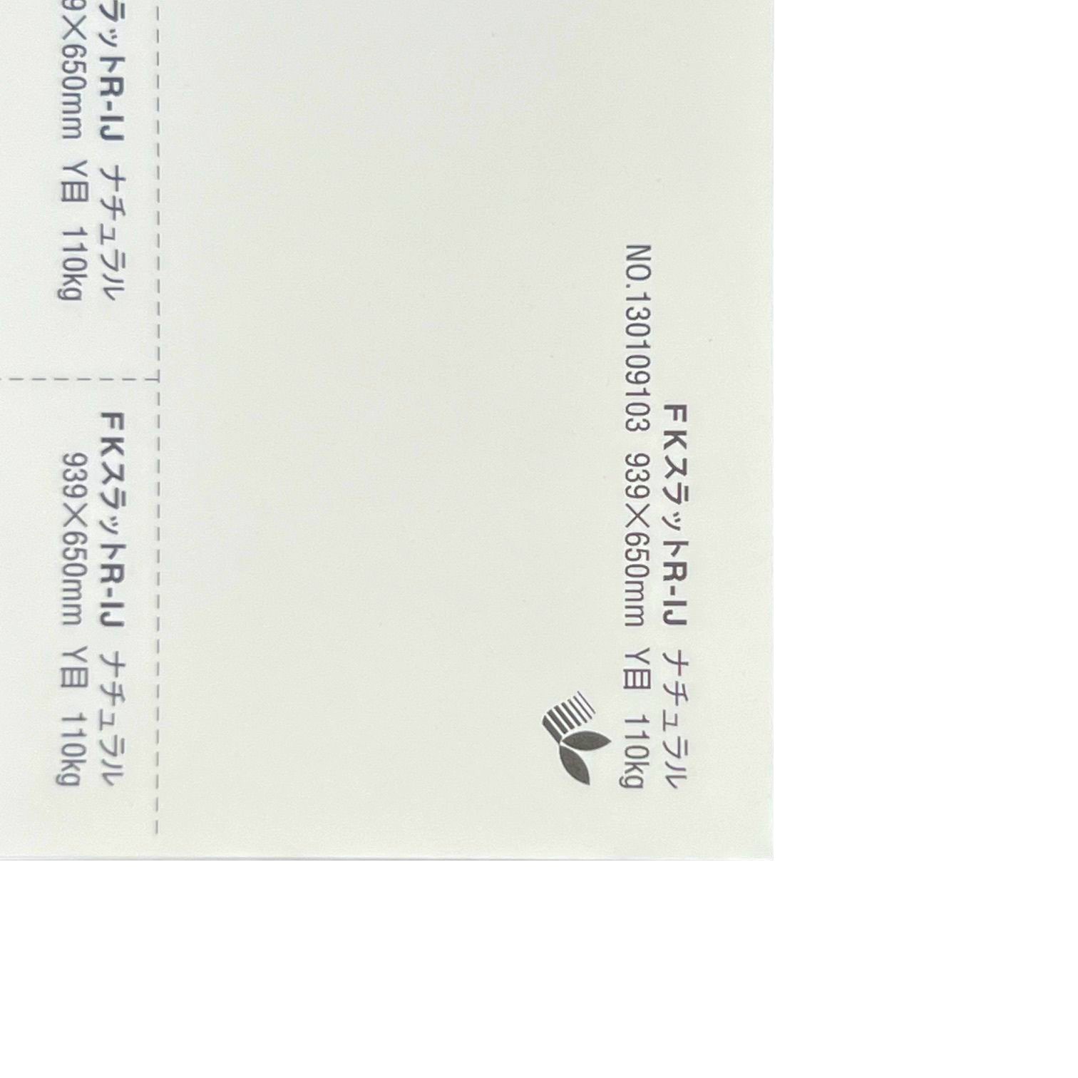 FKスラットR・IJ 110kg(0.20mm) 商品画像サムネイル4