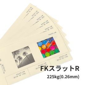 FKスラットR 225kg(0.26mm)の商品画像
