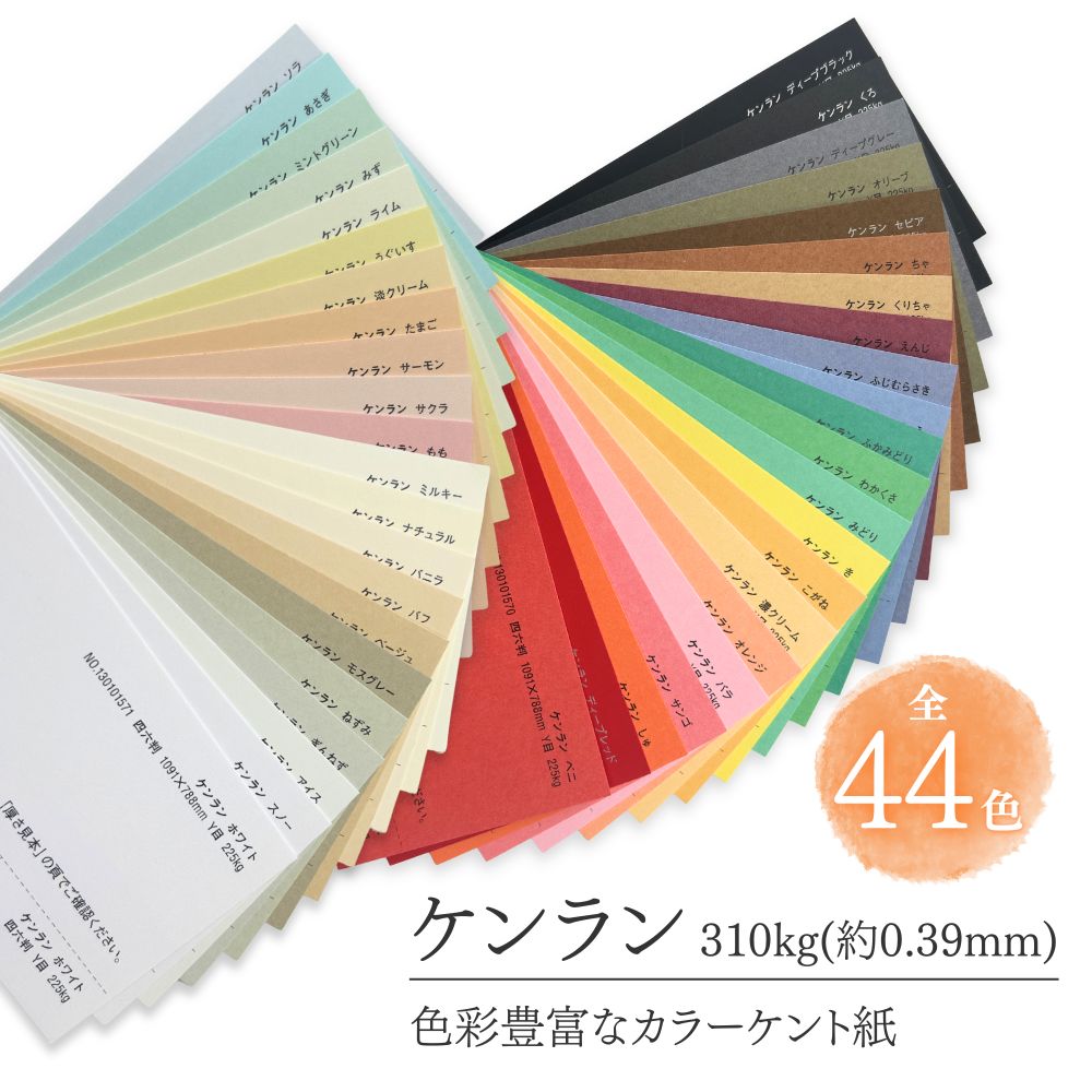 ダン、ゲン&コノミ色紙セット ケンラン310kg(0.39mm)を小ロットから販売|紙の専門店KAMIOLSHOP