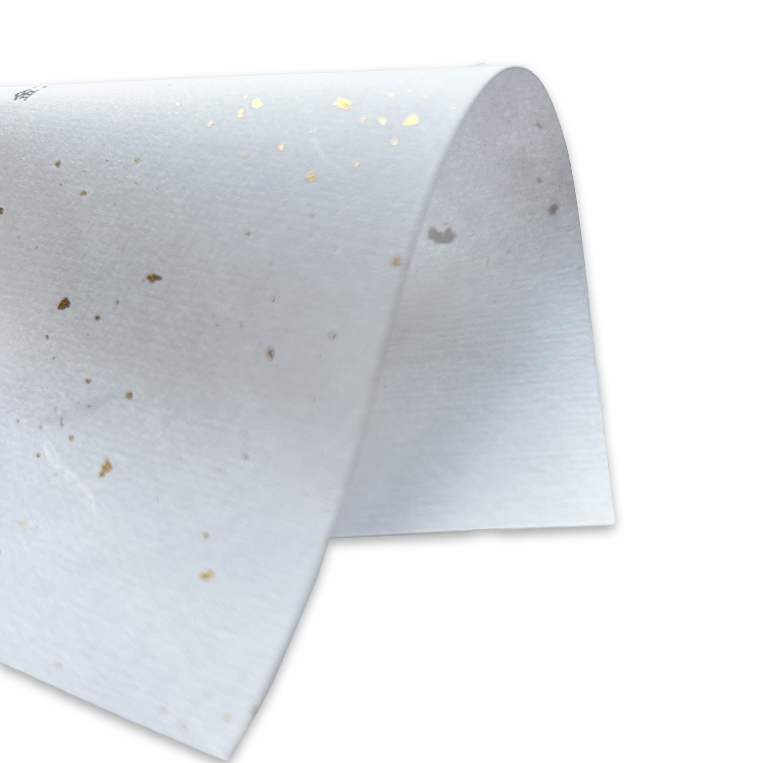 金大礼紙 75kg(0.14mm) 和紙 No.2615 商品画像サムネイル2