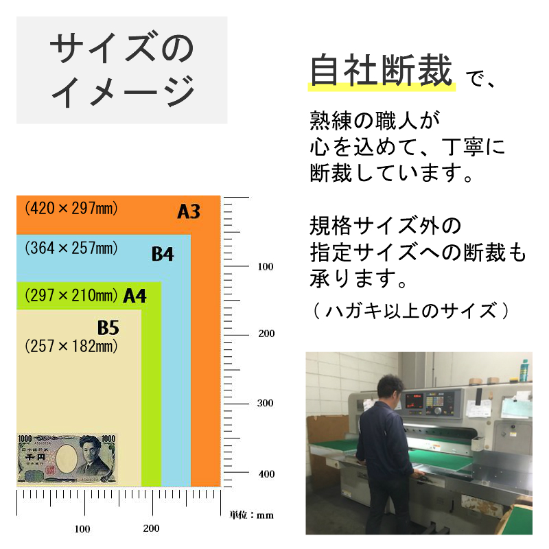 レザック66 175kg(0.21mm)  桃 サイズ：305×432mm 410枚 商品画像サムネイル8