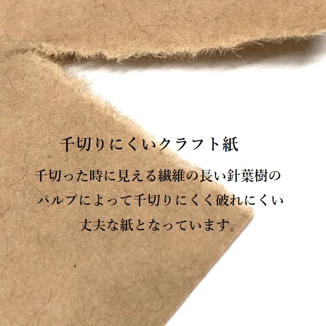 タイオウアトラス 未晒クラフト紙  54kg（米坪50ｇ/㎡）  150mmX270mm 12000枚 商品画像サムネイル4