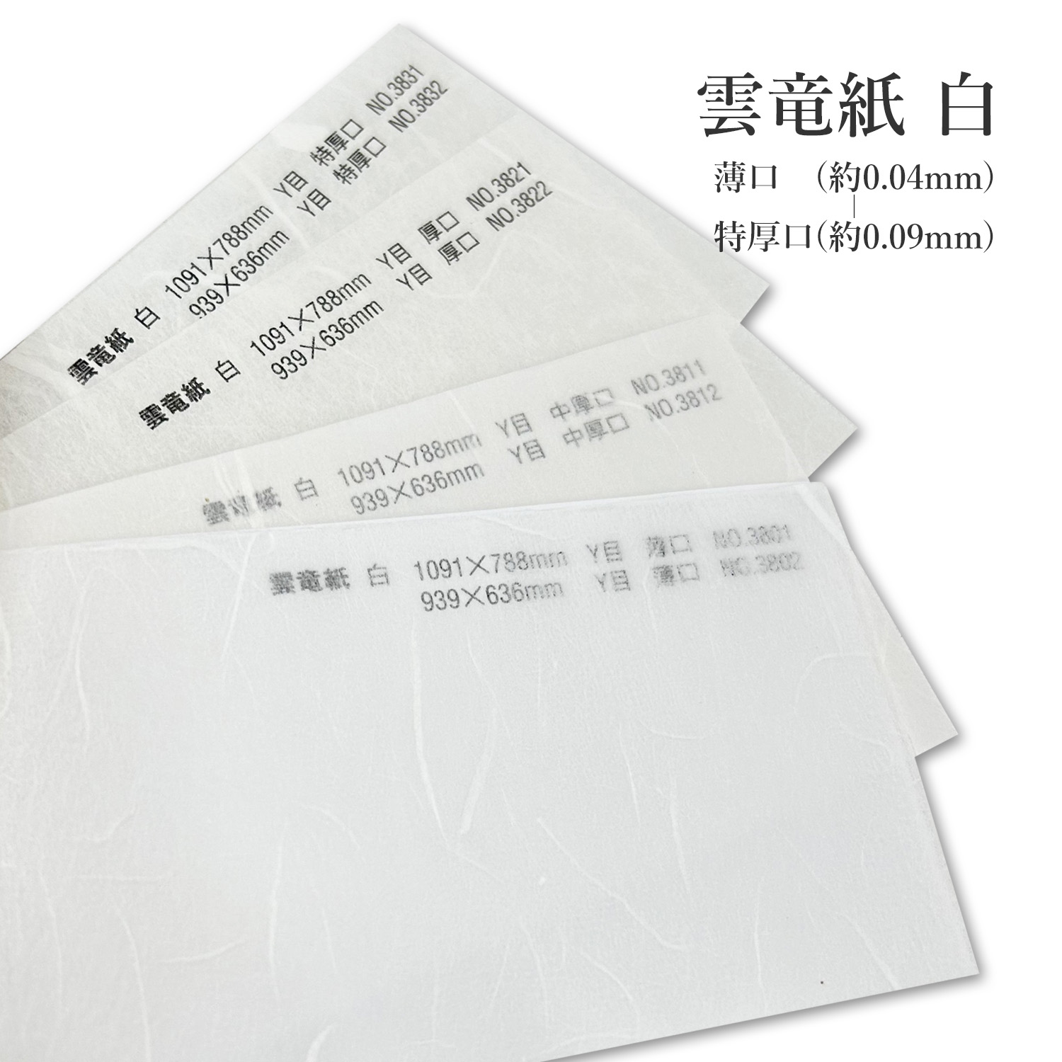 雲竜紙 白 薄口(約0.04mm)/中厚口(約0.06mm)/厚口(約0.07mm)/特厚口(約0.09mm) 商品画像