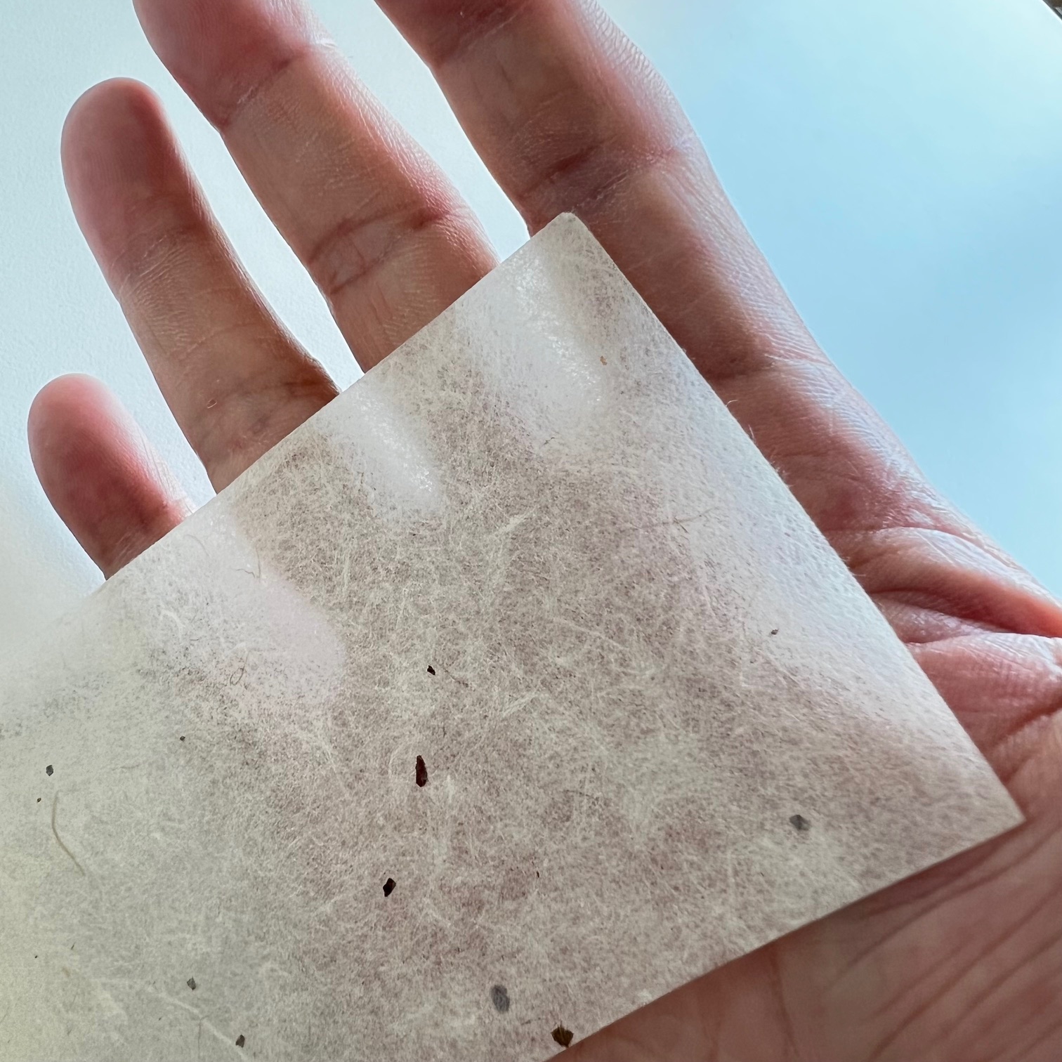 楮皮入紙純質 特薄口(約0.06mm) 未晒 No.4201 商品画像サムネイル2
