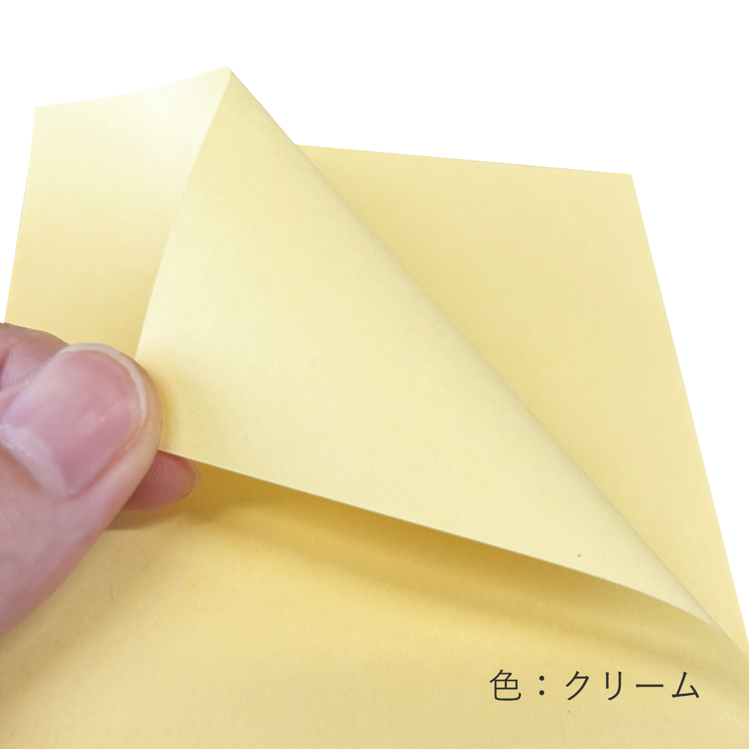 色上質紙 大王の色上質 厚口 A4 50枚〜2,000枚 商品画像サムネイル3