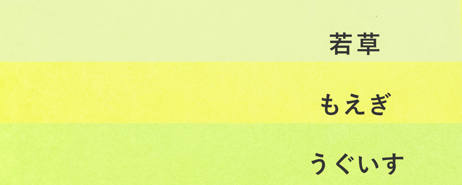 色上質紙緑系