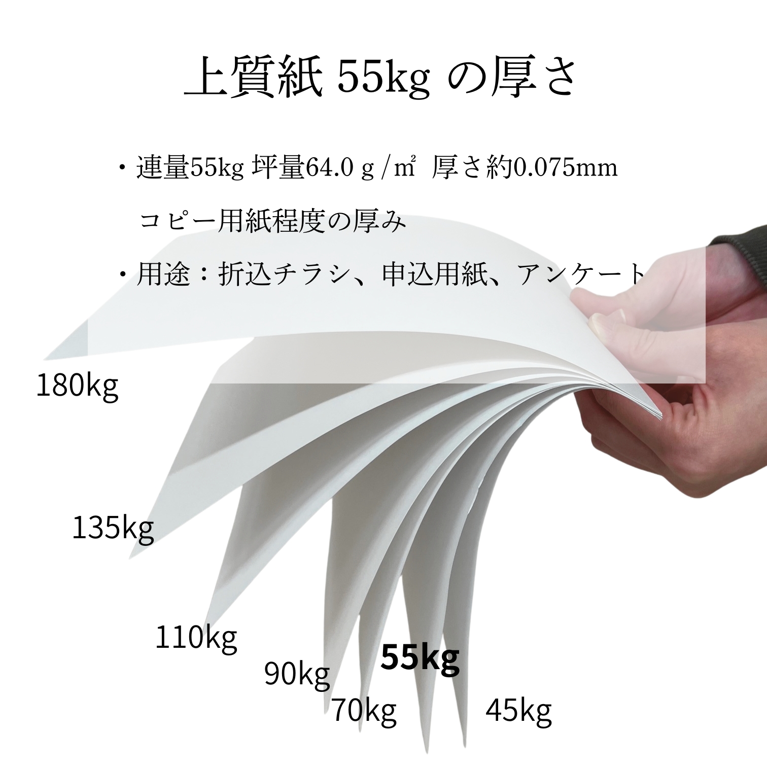 上質紙 (55kg) 菊判 500枚 ※菊判換算 38kg 0.08mm 商品画像サムネイル6