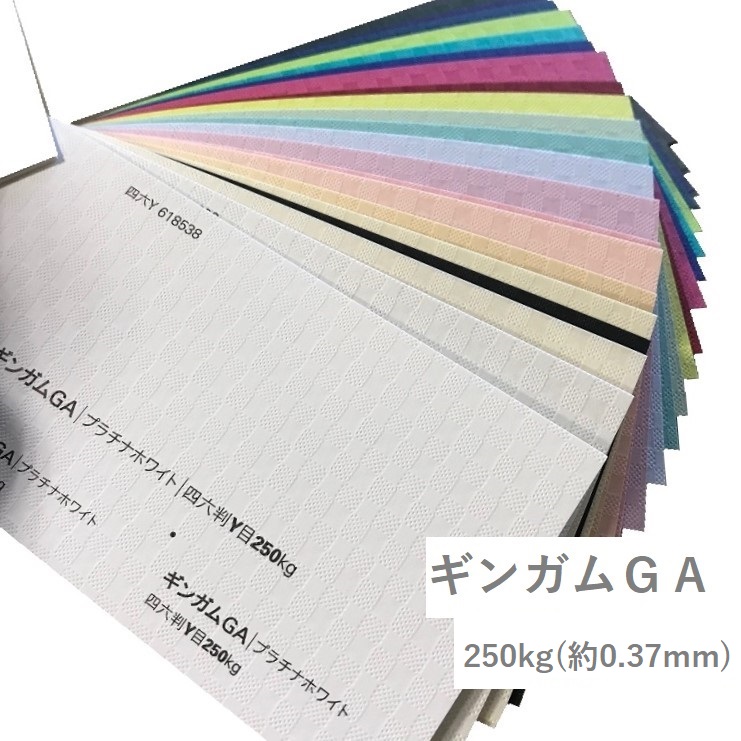 ギンガムGA 250kg(0.37mm) 商品画像