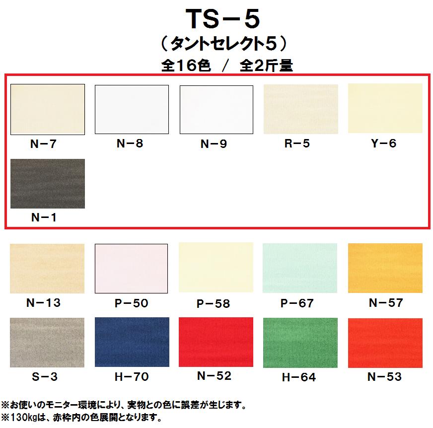 TS-5(タントセレクト5) 100kg(0.15mm) 商品画像サムネイル1