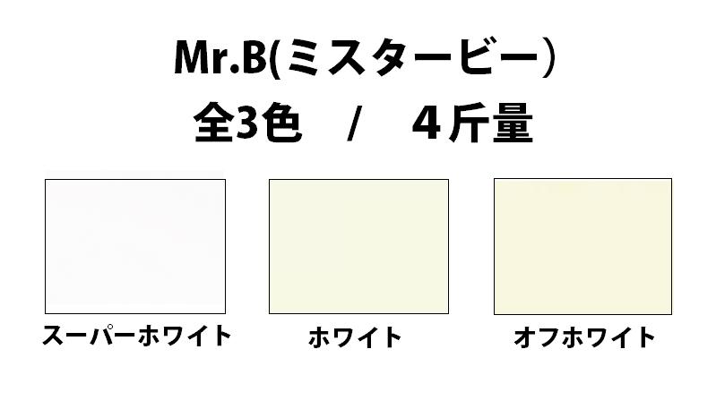 Mr.B ミスタービー 135kg(0.20mm) 商品画像サムネイル1