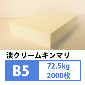 淡クリームキンマリ 書籍用紙 72.5kg B5 2000枚のカラーバリエーションなど