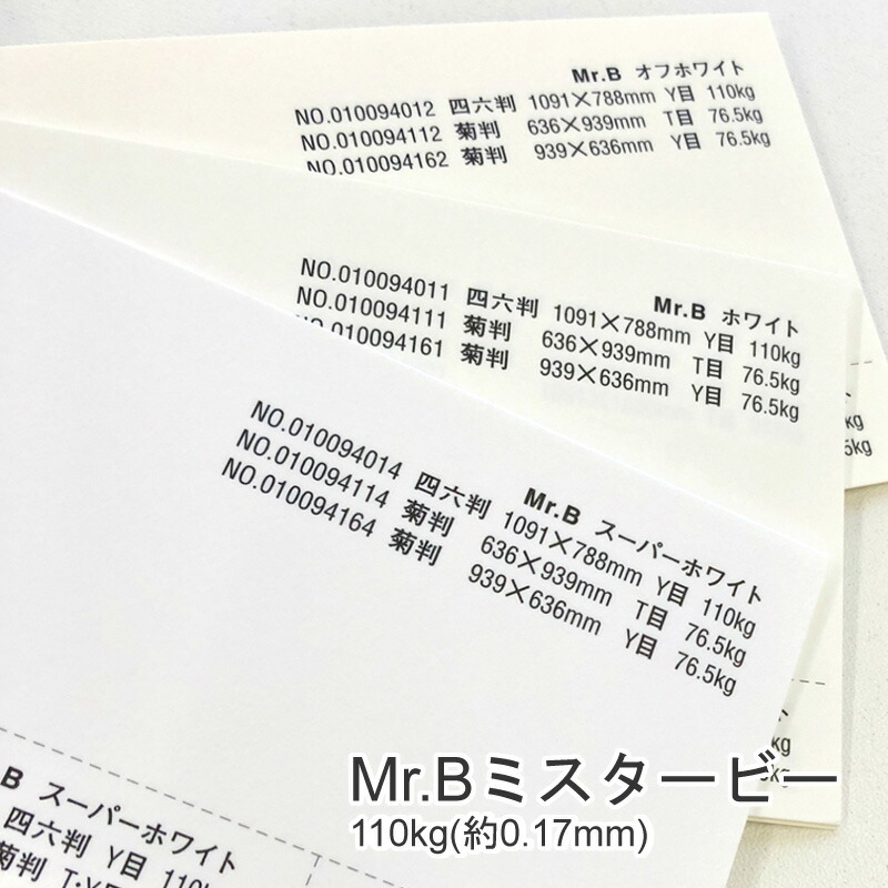 Mr.B ミスタービー 110kg(0.17mm) 商品画像