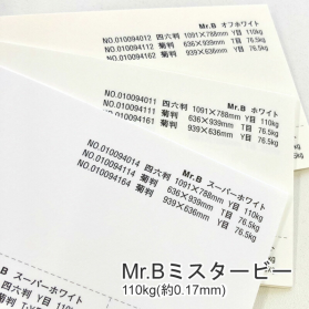 Mr.B ミスタービー 110kg(0.17mm)の商品画像