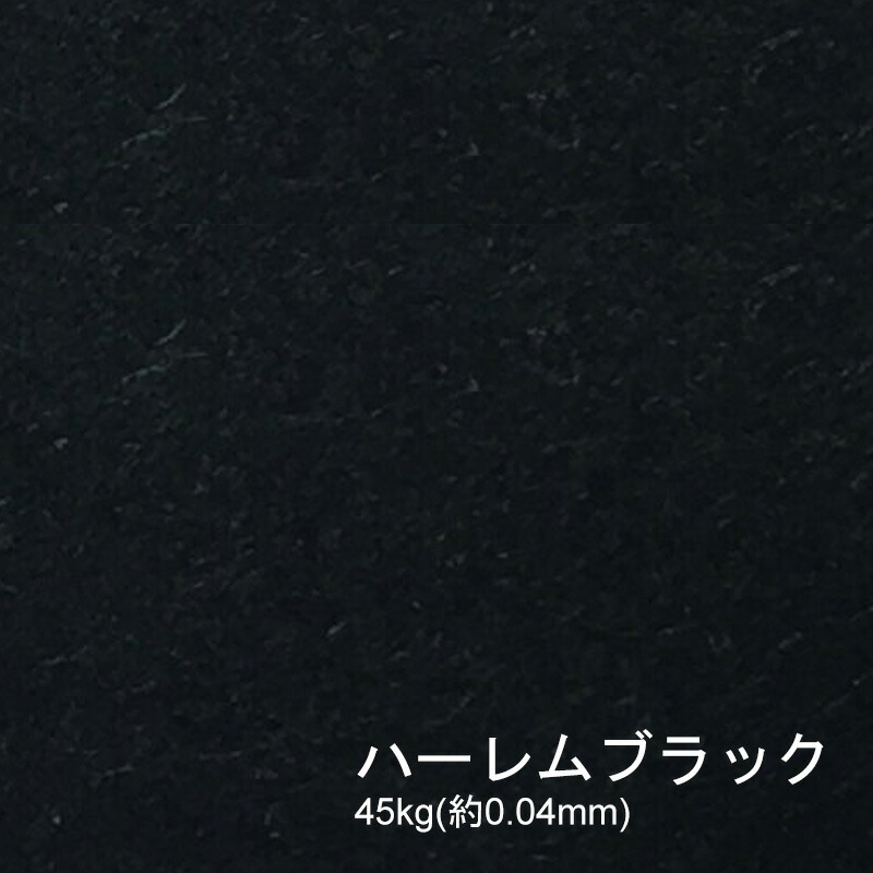 ハーレムブラック 45kg(0.04mm) 商品画像