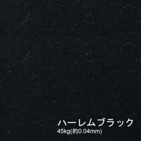 ハーレムブラック 45kg(0.04mm)の商品画像