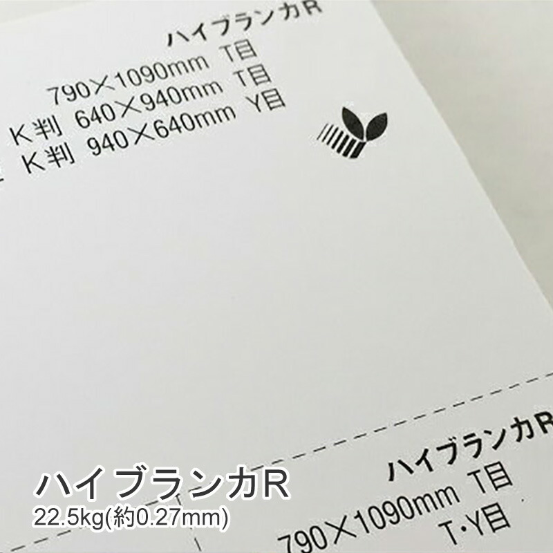 ハイブランカR 22.5kg(0.27mm) 商品画像