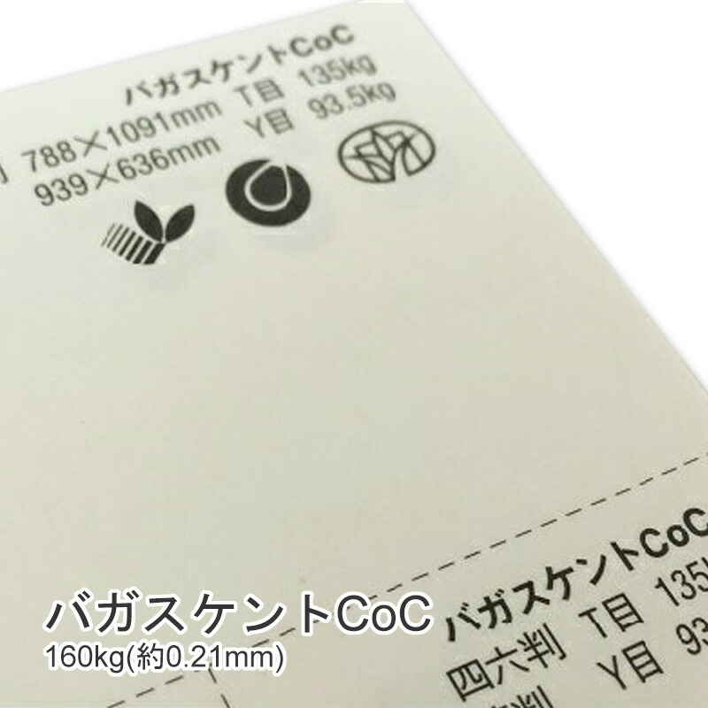 バガスケントCoC 160kg(0.21mm) 商品画像