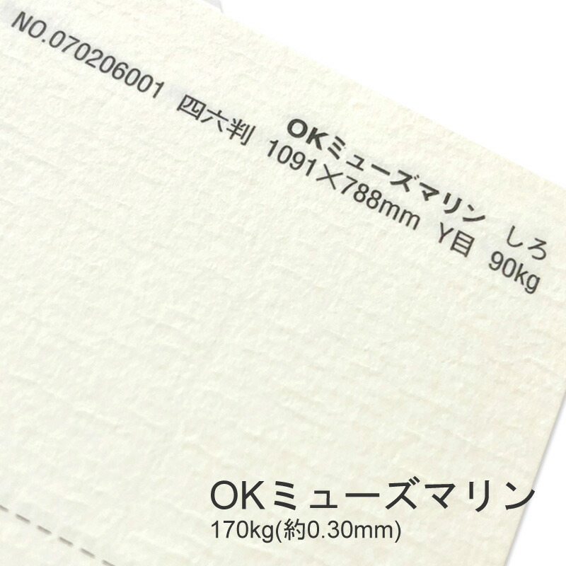 OKミューズマリン 170kg(0.30mm) 商品画像