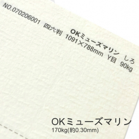 OKミューズマリン 170kg(0.30mm)の商品画像