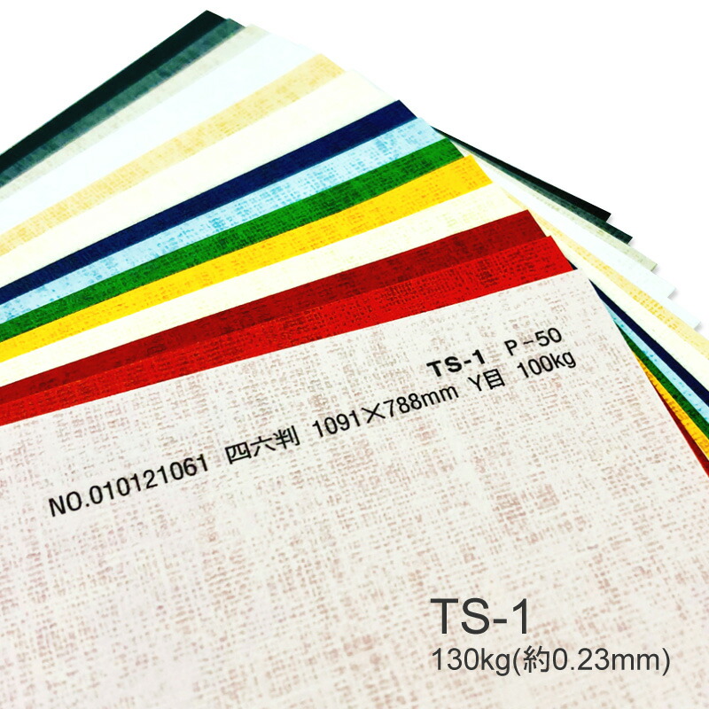 TS-1(タントセレクト1) 130kg(0.23mm) 商品画像