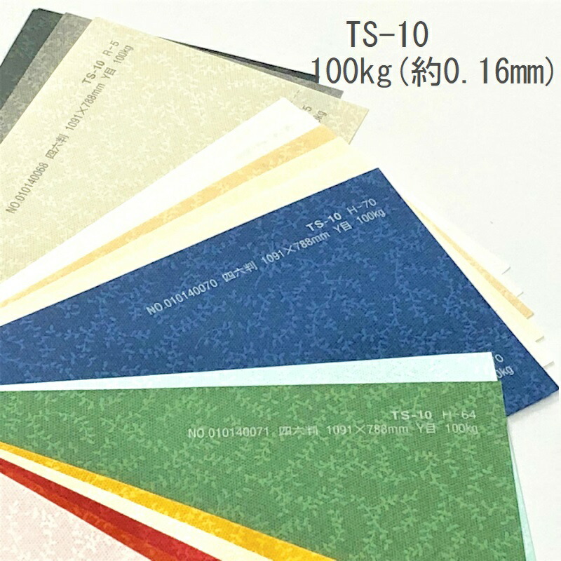 TS-10(タントセレクト10) 100kg(0.16mm) 商品画像