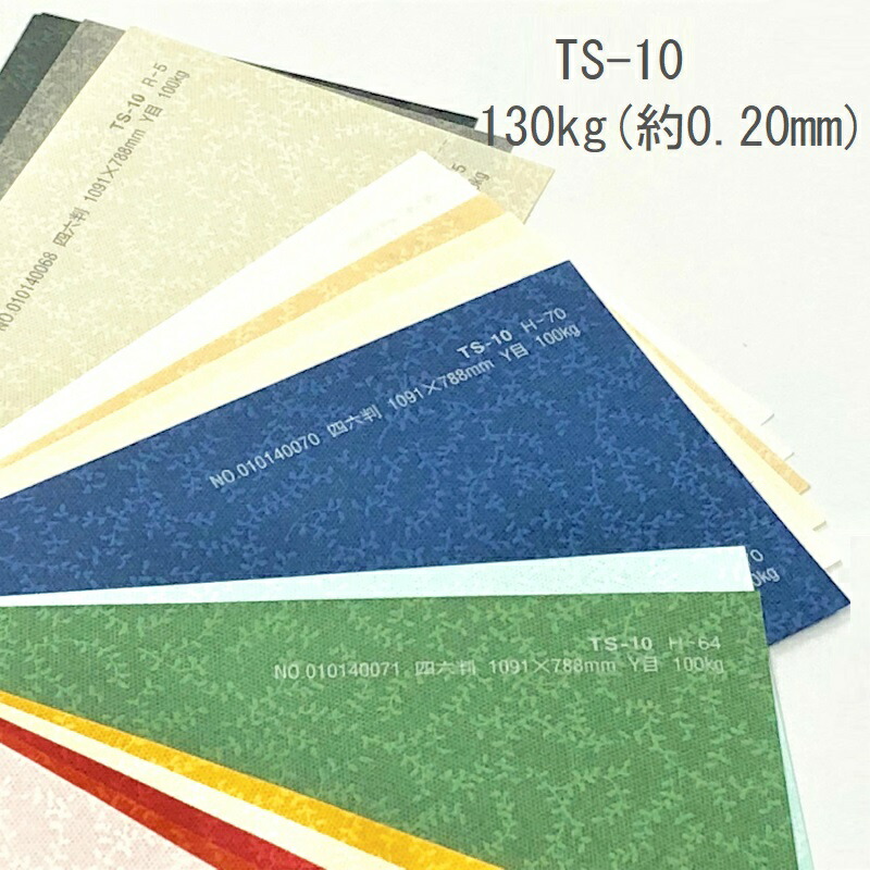 TS-10(タントセレクト10) 130kg(0.20mm) 商品画像