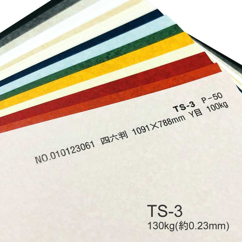 タントセレクト TS-6 A4 130kg 300枚：紙アラカルトｅ紙季彩