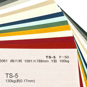 TS-5(タントセレクト5) 130kg(0.17mm)の商品画像