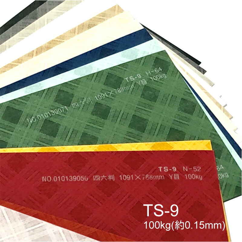 TS-9(タントセレクト9) 100kg(0.15mm) 商品画像