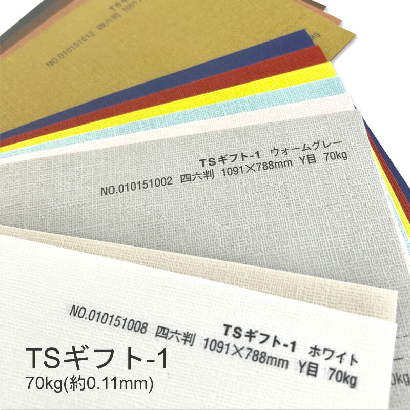 TSギフト-1(タントセレクトギフト-1) 70kg(0.11mm) 商品画像