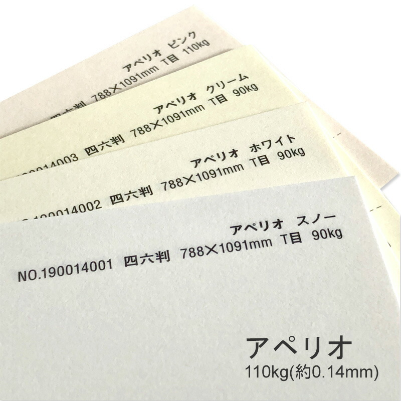 アペリオ 110kg(0.14mm) 商品画像