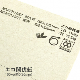 エコ間伐紙N 160kg(0.25mm)の商品画像