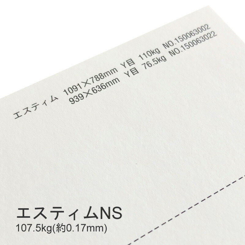 エスティムNS 107.5kg(0.17mm) 商品画像
