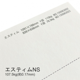 エスティムNS 107.5kg(0.17mm)の商品画像