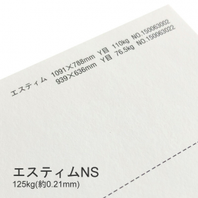 エスティムNS 128kg(0.21mm)の商品画像