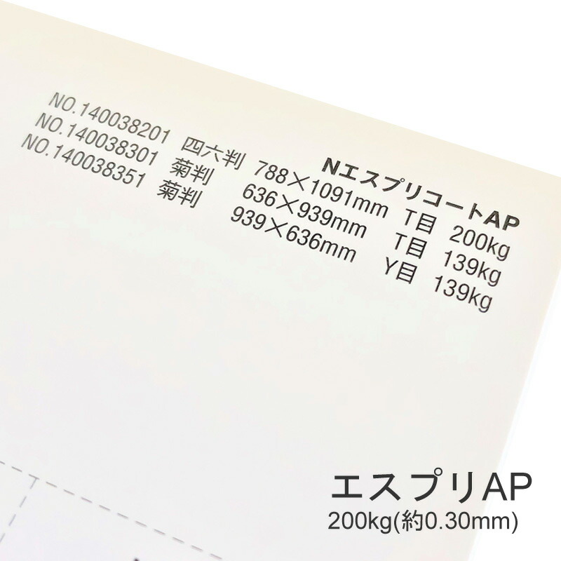 エスプリAP 200kg(0.30mm) 商品画像