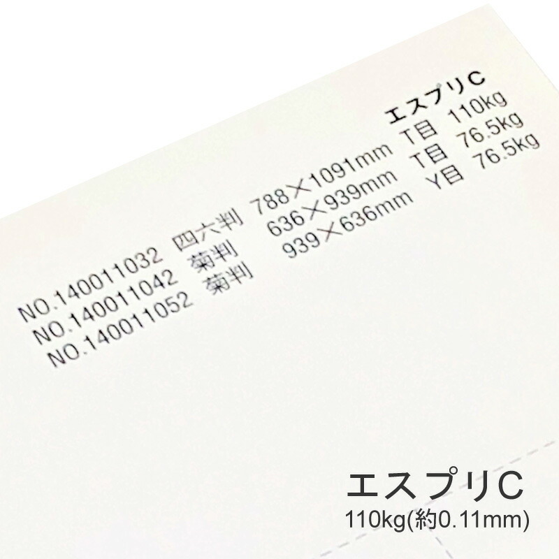 エスプリC 110kg(0.11mm) 商品画像
