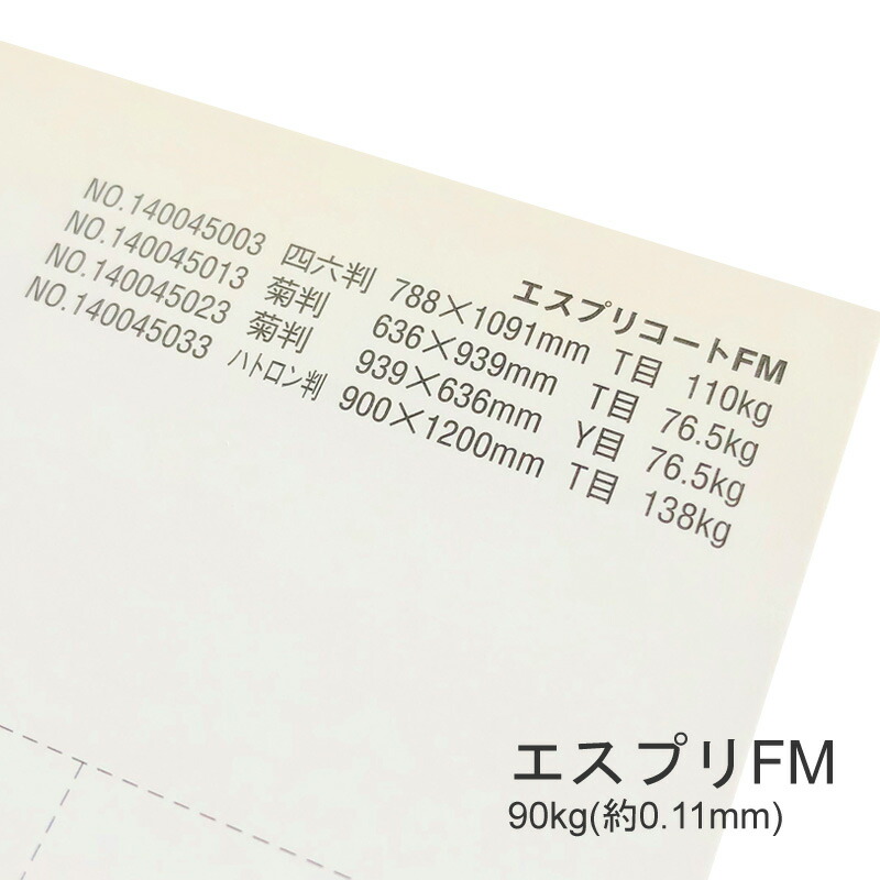エスプリFM 90kg(0.11mm) 商品画像