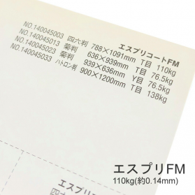 エスプリFM 110kg(0.14mm)の商品画像